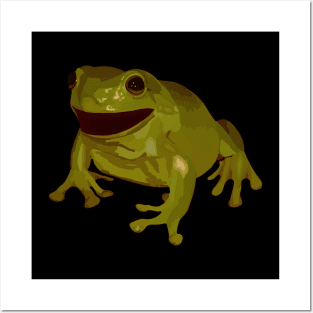 Frog Posters and Art